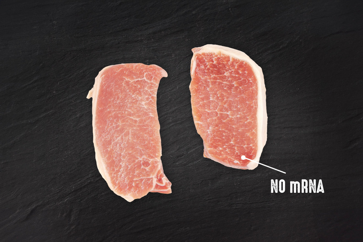 Two raw thick cut pork chops sit on a black slate background. There is an arrow pointing to the pork chops and text that reads No mRNA in meat.