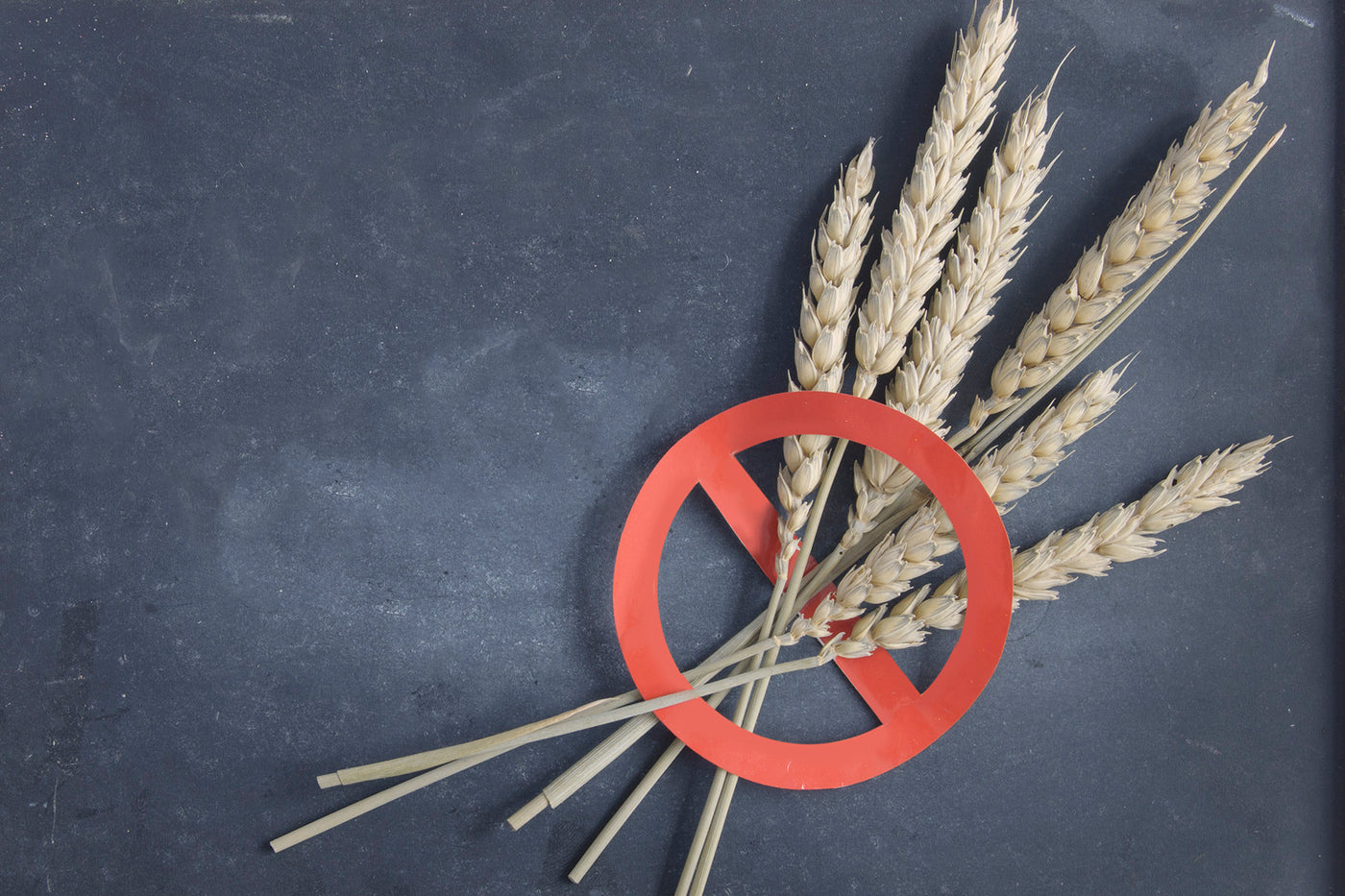 A bundle of wheat is shown on a gray background with a red slash through it indicating gluten free.