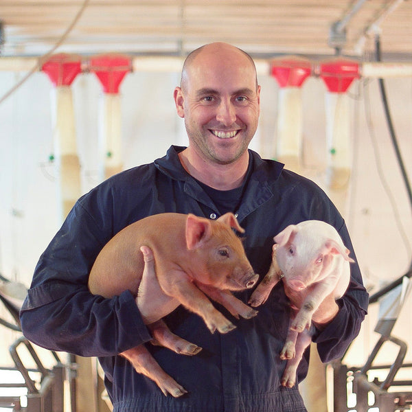 Vice President of Pederson's Natural Farms holds piglets at their Prop. 12 Compliant pig farm.